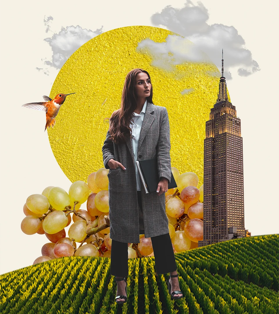 Moët Hennessy, direction artistique digital, RAAD Studio de Création Paris